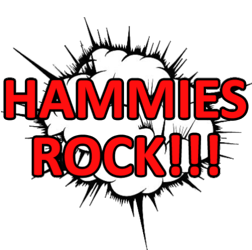 Hammies Hamiltonsrfc Sticker - Hammies Hamiltonsrfc Hamiltonsrugby Stickers