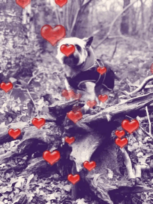 Valentine Love GIF - Valentine Love Lovedog GIFs