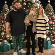 Merry Christmas To You And Your Family GIF