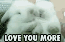 Love You More GIF - Bunnies Love You More Cuddling GIFs