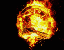 Phoenix Flame GIF