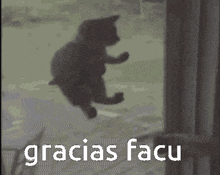 Gracias Facu Hola GIF - Gracias Facu Hola GIFs