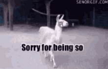 Fabulous GIF - Sorry For Being So Fabulous Fab Sassy GIFs