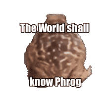 know phrog