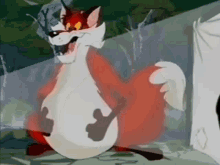 Belly Fox GIF - Belly Fox Bloated GIFs