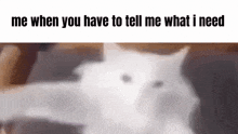 a blurry picture of a white cat with the words `` me when you have to tell me what i need '' written above it .