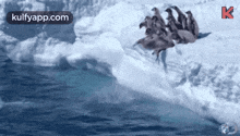 Penguin Day.Gif GIF - Penguin Day Wishes Penguins GIFs