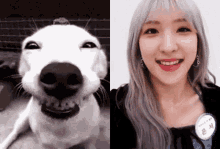 Eunseo Wjsn GIF - Eunseo Wjsn Eunseo Dog GIFs
