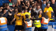 Wolves Fc GIF - Wolves Fc GIFs
