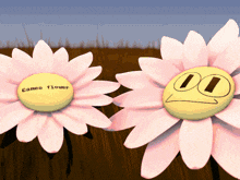 a cartoon drawing of two flowers with cameo flower written on the center