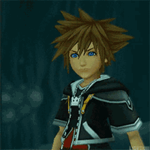 kingdom hearts what do you want what do you mean sora