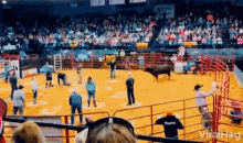 Bull Toss Provoked Bull GIF - Bull Toss Provoked Bull Cowboy Pinball GIFs
