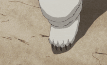 a close up of a cat 's paw with sharp claws