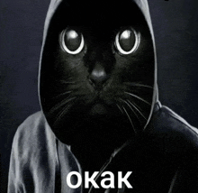 a black cat wearing a hoodie with the word okak written on it