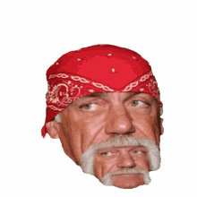 Hulk Hogan Double Chin GIF - Hulk Hogan Double Chin Hogan GIFs