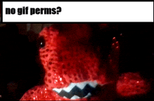 a picture of a stuffed animal with the words no gif perms