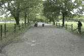 two people riding motorcycles down a road with trees