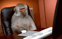 a monkey sits at a desk with a computer mouse and keyboard and says me ...