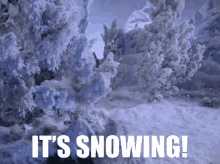 Snow Snowing GIF - Snow Snowing Itssnowing GIFs