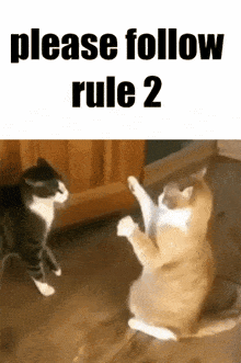 Please Follow Rule 2 GIF - Please Follow Rule 2 GIFs