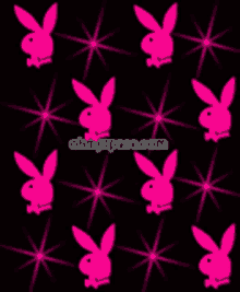 player playboy logo bunny rabbit