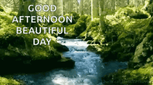 Greeting Good Afternoon GIF - Greeting Good Afternoon Beautiful Day GIFs