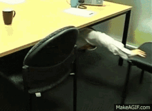 Chair Sniffing GIF - Chair Sniffing Sniff GIFs