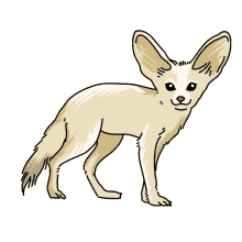 fox fennec