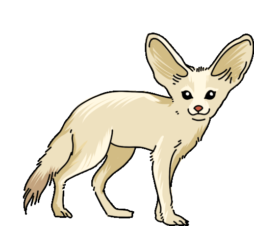 fox-fennec-fox.gif