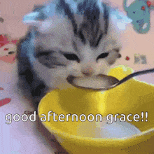 Kitty Good Afternoon GIF - Kitty Good Afternoon Grace GIFs