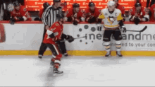 Pittsburgh Penguins GIF - Pittsburgh Penguins Sidney GIFs