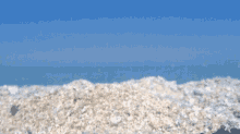 beach mare spiaggia tropea zambrone