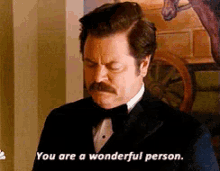 You Are A Wonderful Person - Parks And Recreation GIF - Wonderful Parks And Recreation Nick Offerman GIFs