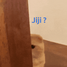Jidu GIF - Jidu GIFs