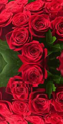 Love Rose57 Roserred57 GIF - Love Rose57 Roserred57 Rose Glitter57 GIFs