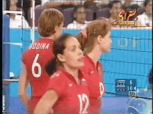 Volleyball Sokolova GIF - Volleyball Sokolova Godina GIFs