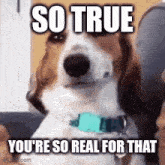 True So Real GIF