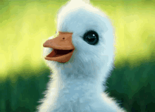 Cute Ducklings GIF - Cute Ducklings GIFs