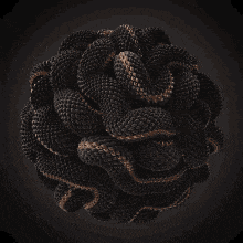 Black Brown GIF - Black Brown Snake GIFs