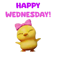 a yellow chicken with a pink bow and the words happy wednesday behind it