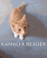 Kamali Salem GIF - Kamali Salem When I Catch You GIFs