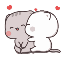 love couple kiss cat heart