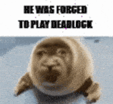 a picture of a seal with the words he was forged to play deadlock on it .