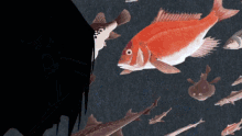 a group of fish are swimming in the water and one of them is a red fish