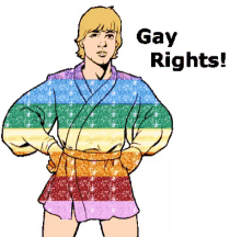 Gay Rights Lukeskywalker GIF