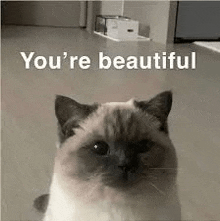 You Are Beautiful Cute GIF - You Are Beautiful Cute Beautiful GIFs