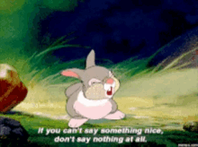 if you cant say something nice dont say nothing at all disney thumper bambie movie