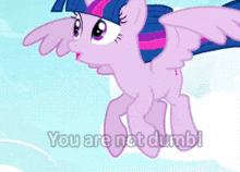 Mlp Twilight Sparkle GIF - Mlp Twilight Sparkle You Are Not Dumb GIFs