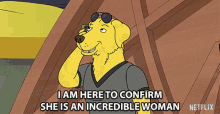 i am here to confirm she is an incredible woman mr peanutbutter bojack horseman commend compliment