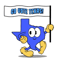 election texas